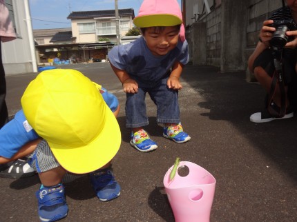 こわーい！