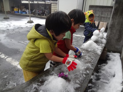 雪集め