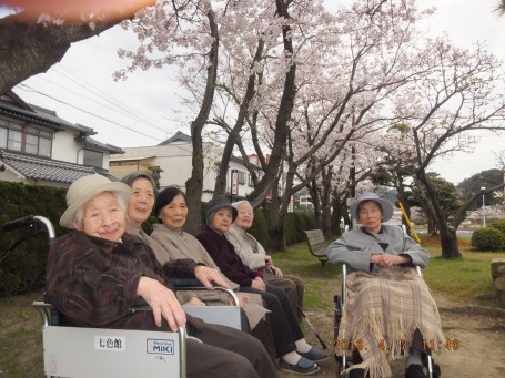 グループ七色間で大田市民会館へのお花見